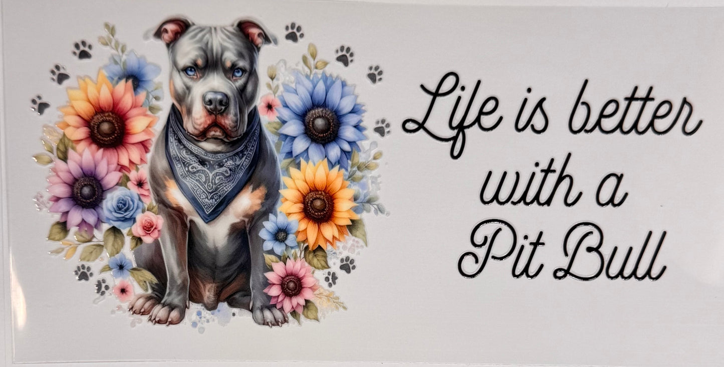 Pit bull