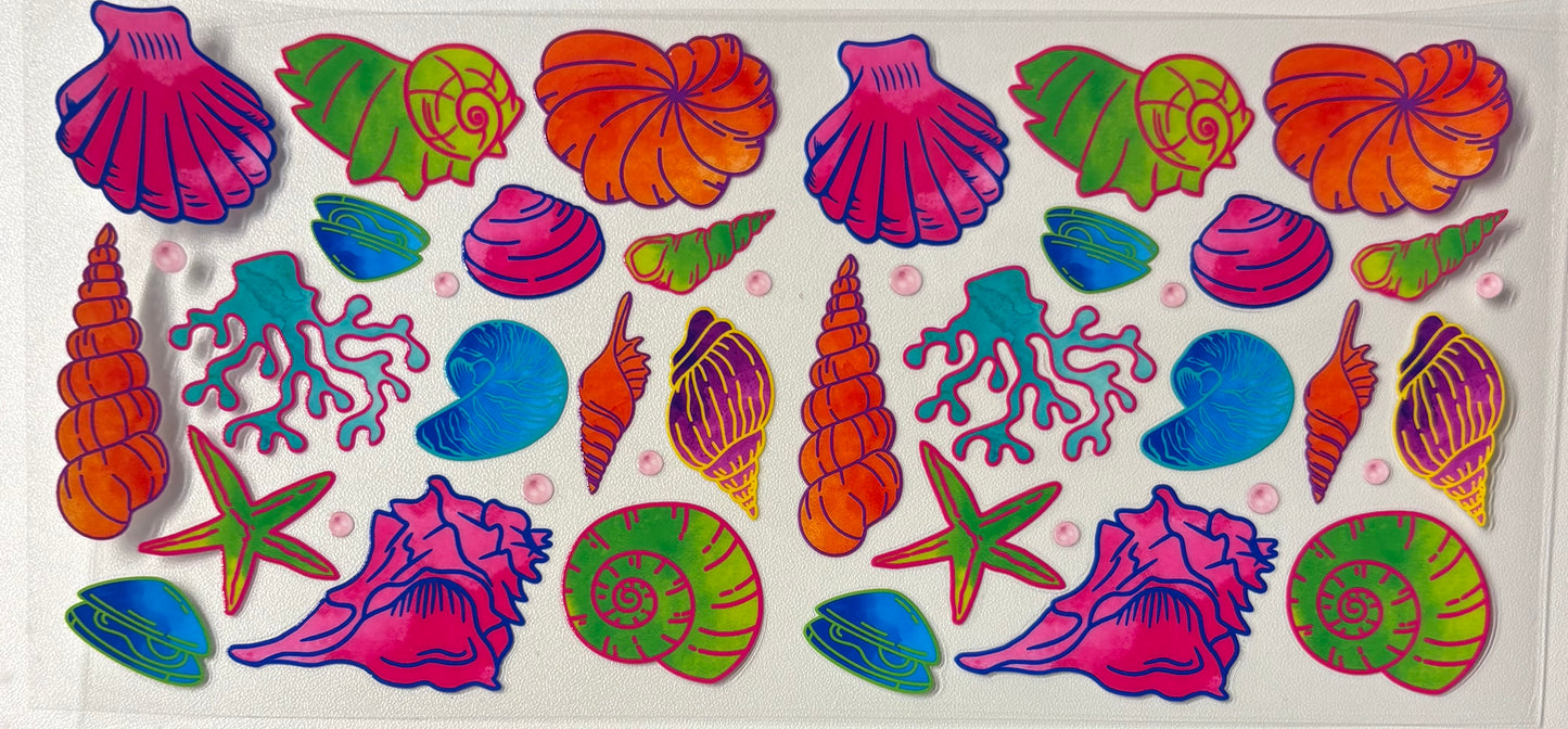 Colorful shells