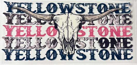 Yellowstone skull