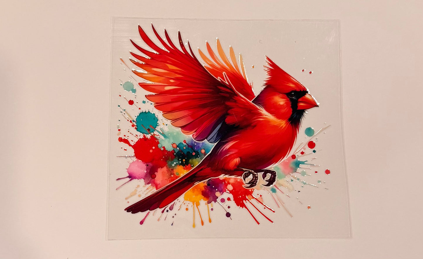 4in cardinal 2