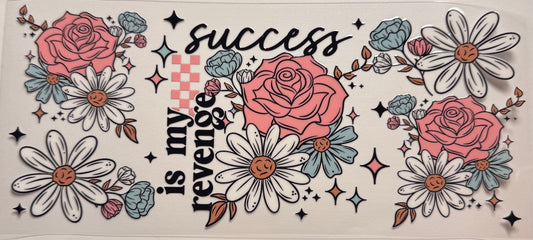 Success is my revenge