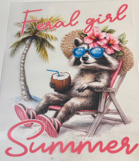 29 raccoon feral summer