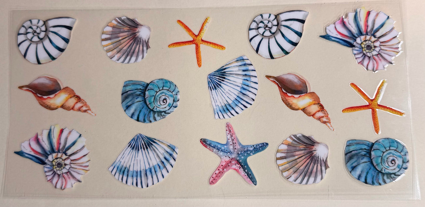 Beach shells