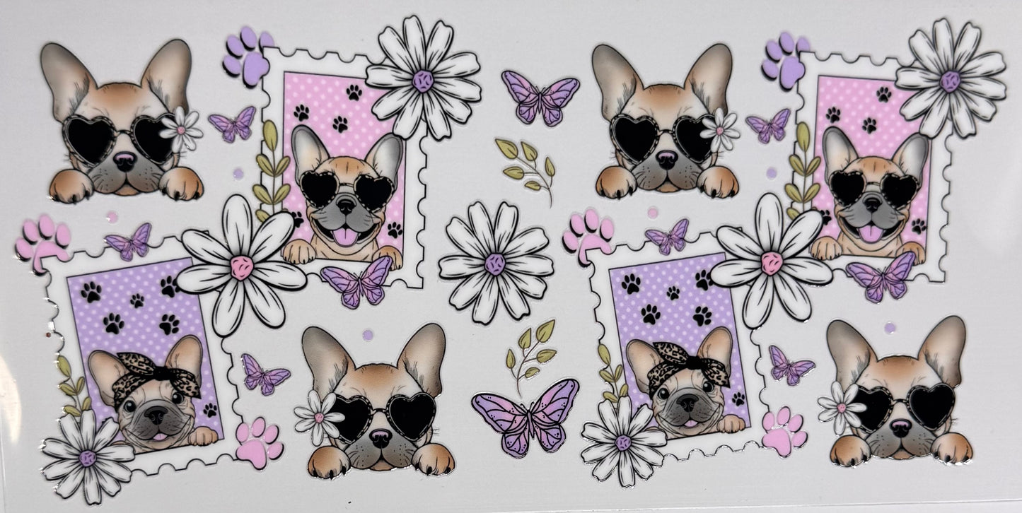 Cute frenchie